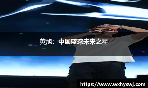 678体育官网